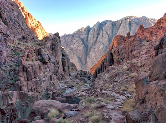 brown mountains under blue sky during daytime in Mount Sinai Egypt