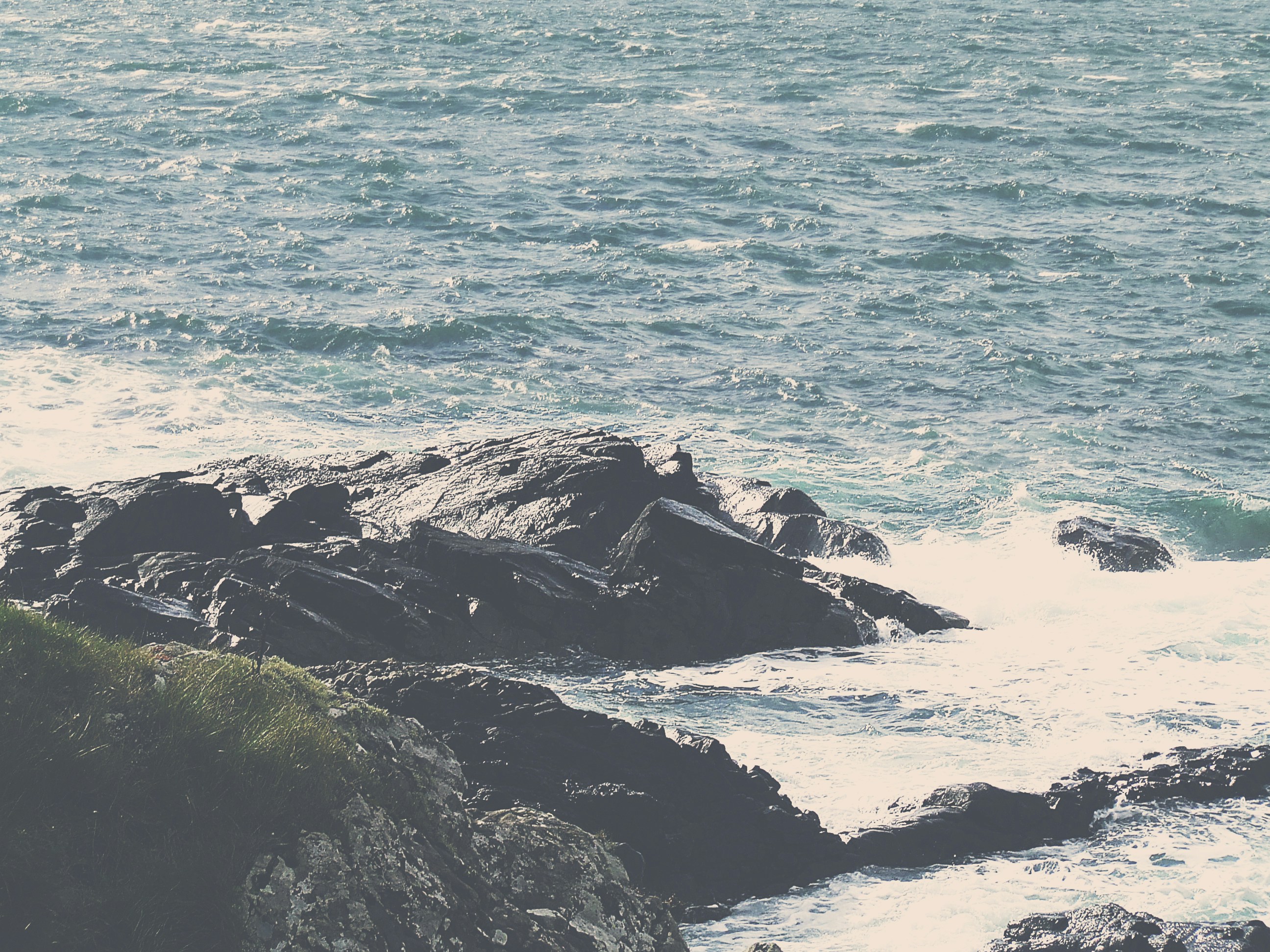 Free Unsplash photo from Chris Adams