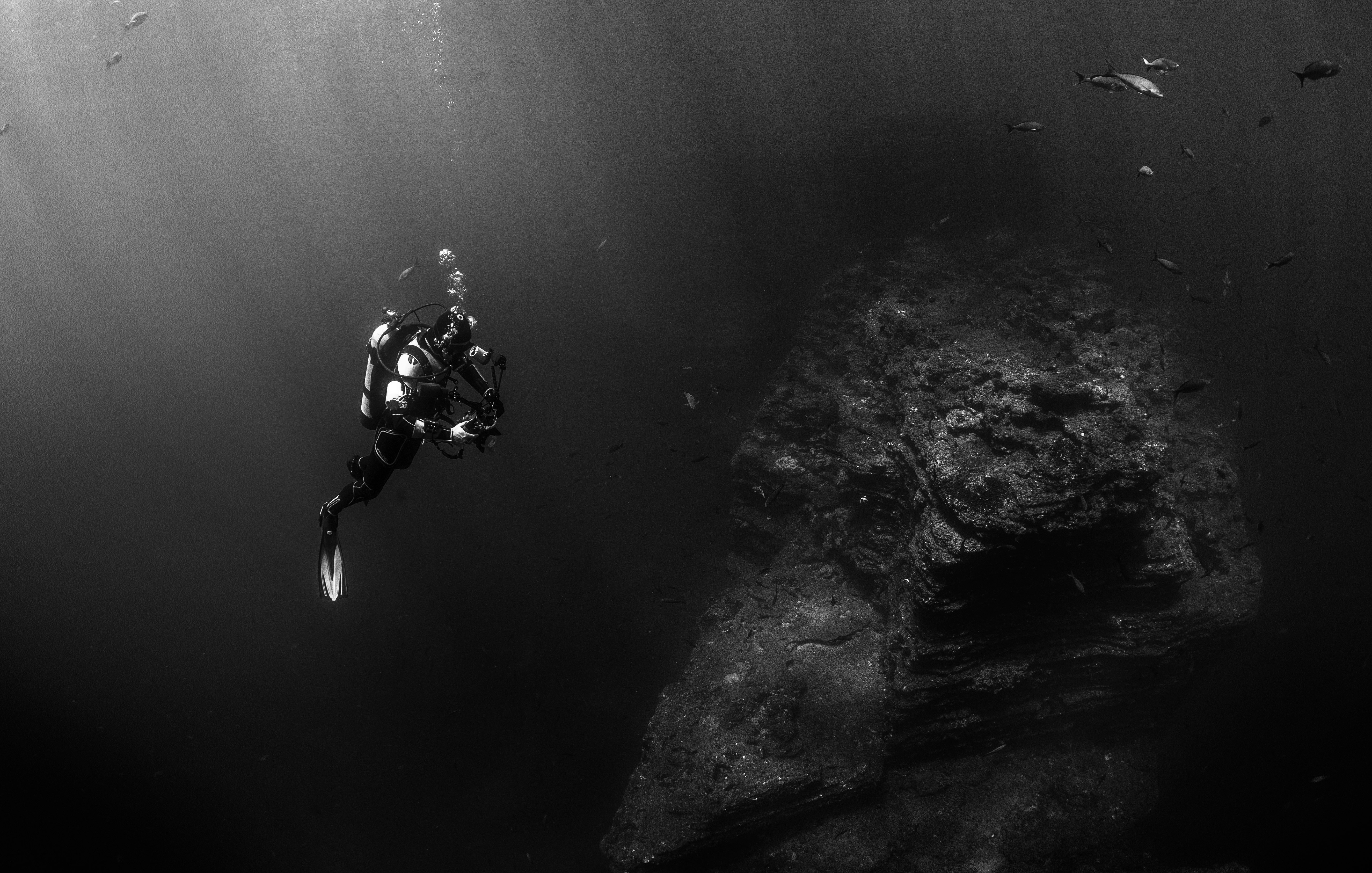 grayscale photo of person scuba diving