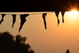 A sunset backdrop illuminating banners advocating for freedom.