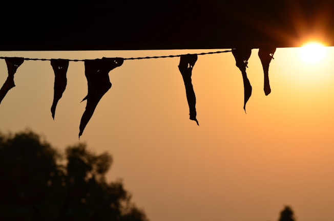 A sunset backdrop illuminating banners advocating for freedom.