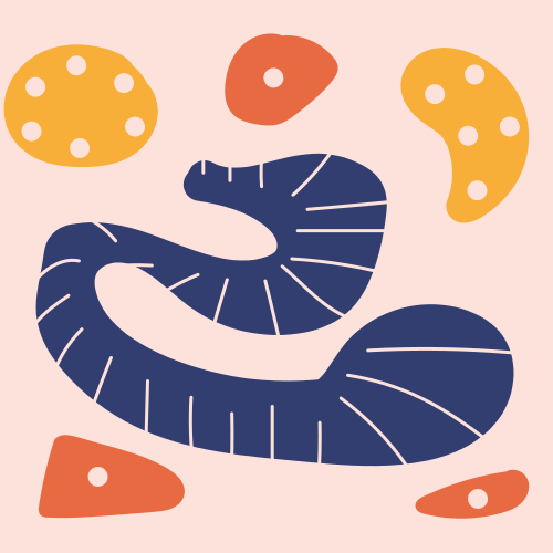 Photo by anniespratt