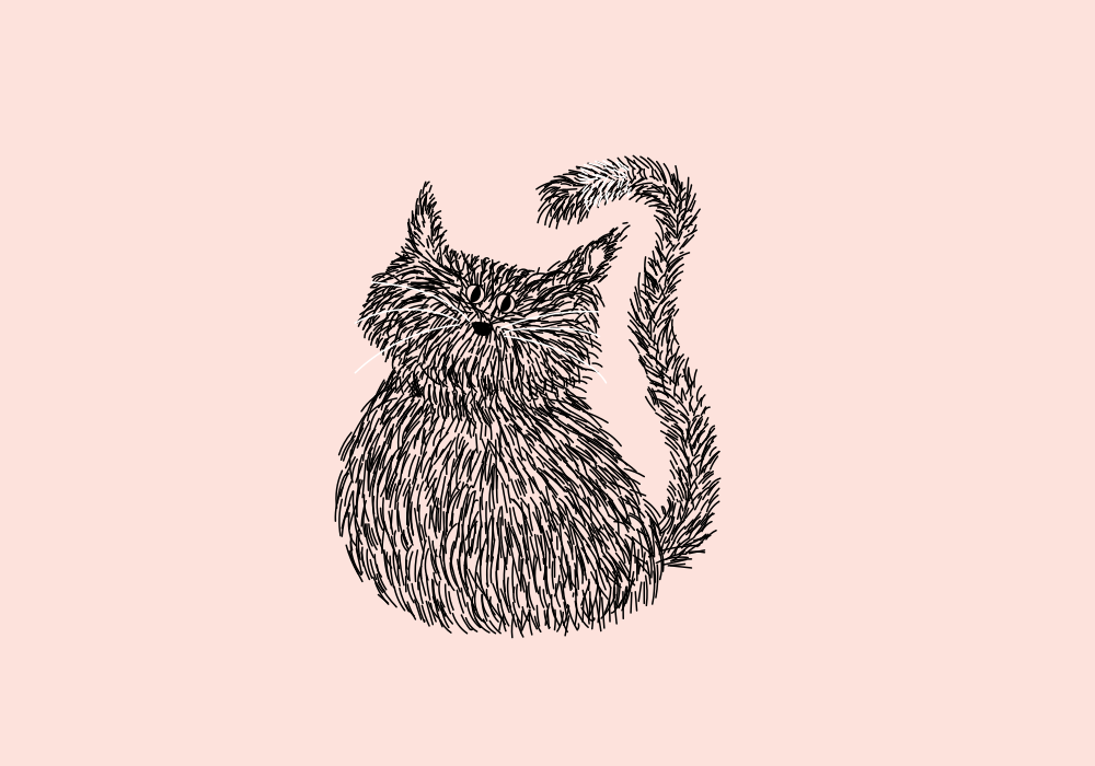A drawing of a cat on a pink background