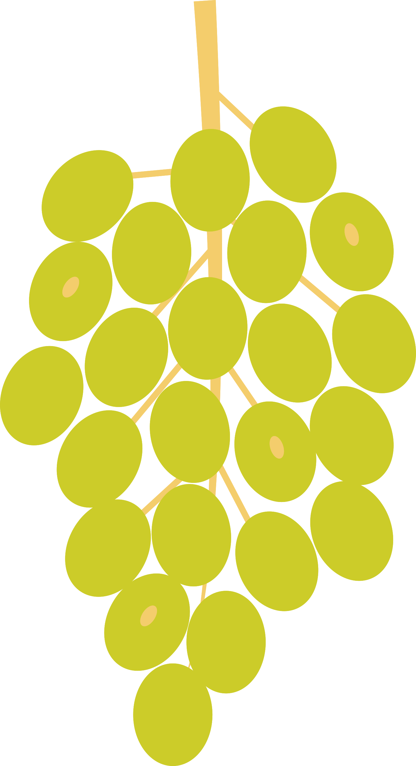 Photo by dementedpixel