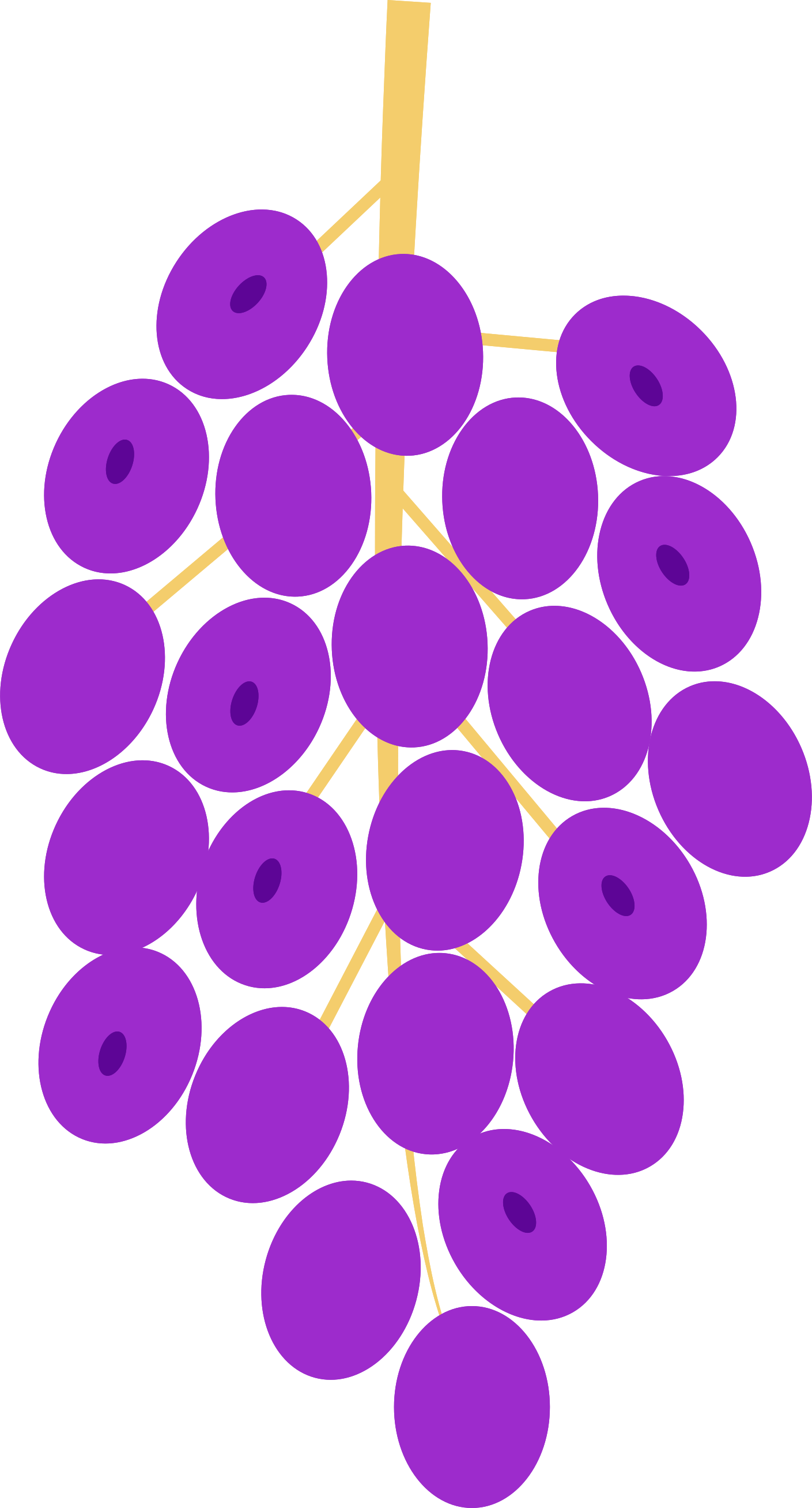 A bunch of grapes sitting on top of a table