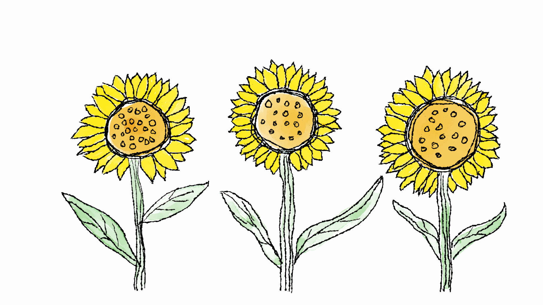 Photo by dementedpixel