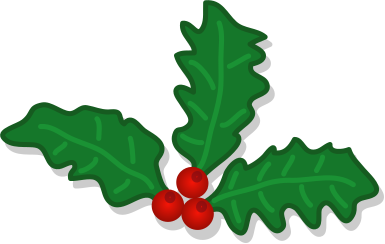 A holly berry with green leaves and red berries