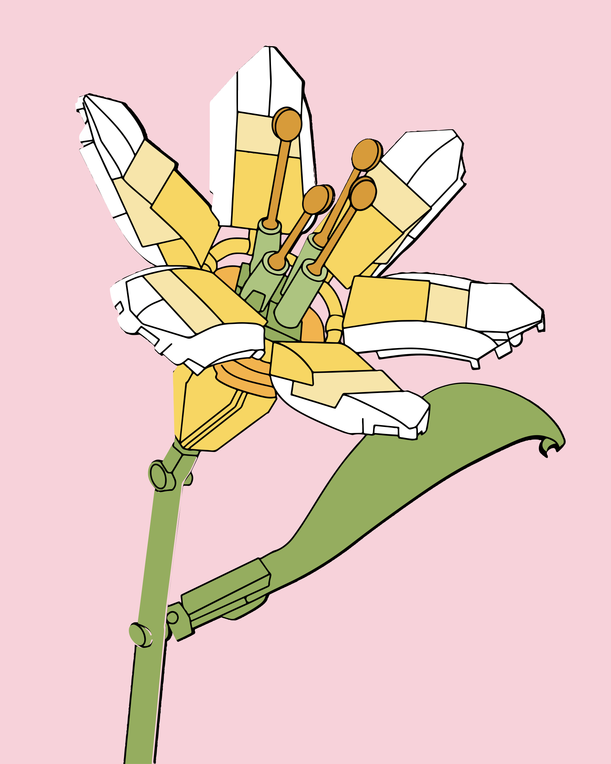 Photo by eronestudio