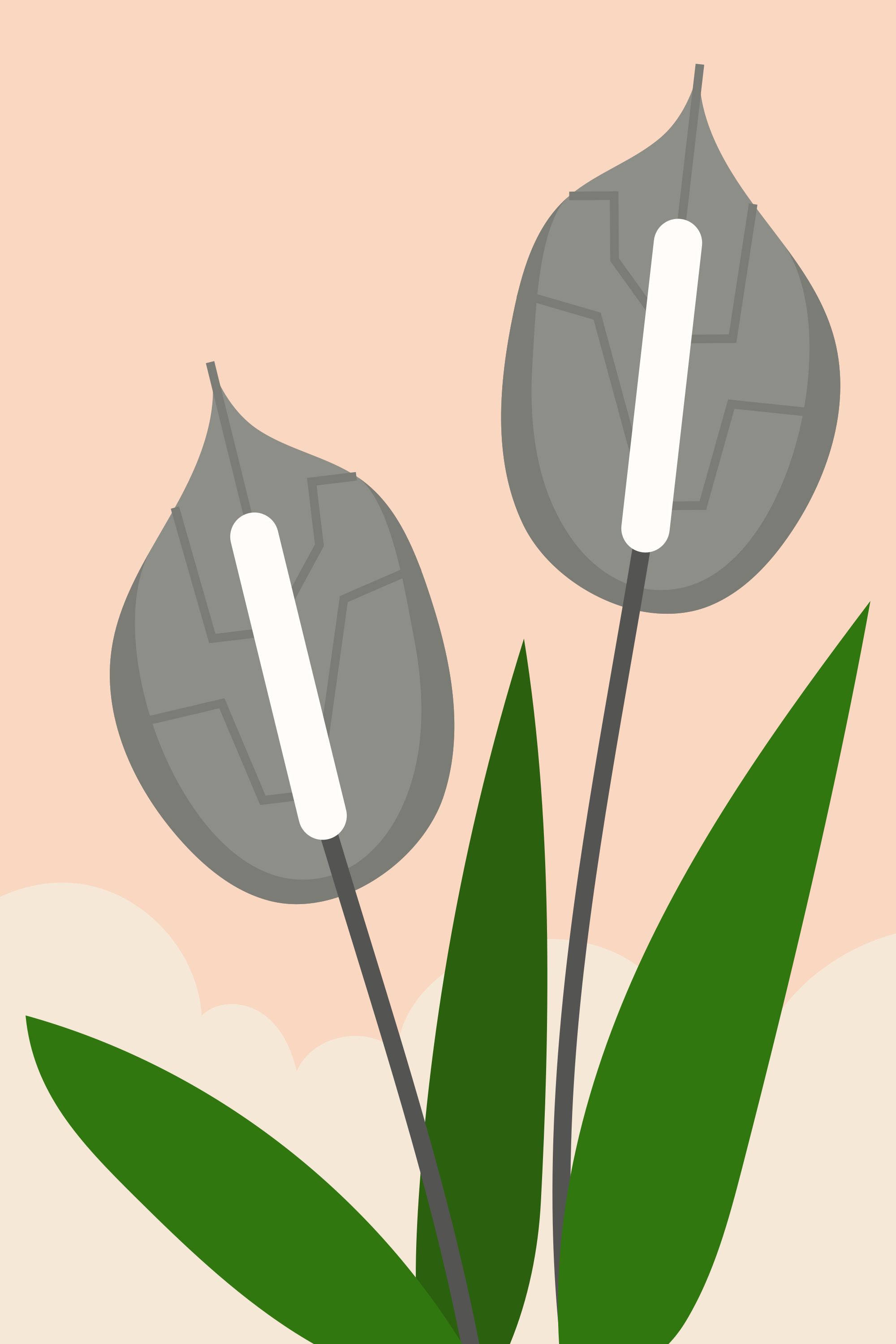 Photo by thehalaldesign