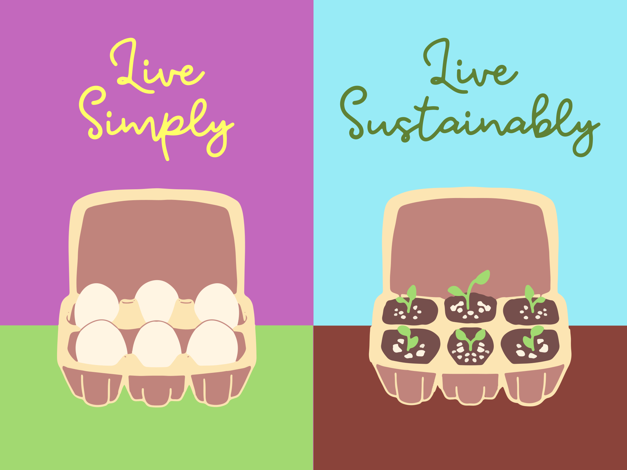 Ein Bild von einem Haufen Eier in einem Karton