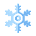 A snowflake is shown on a white background
