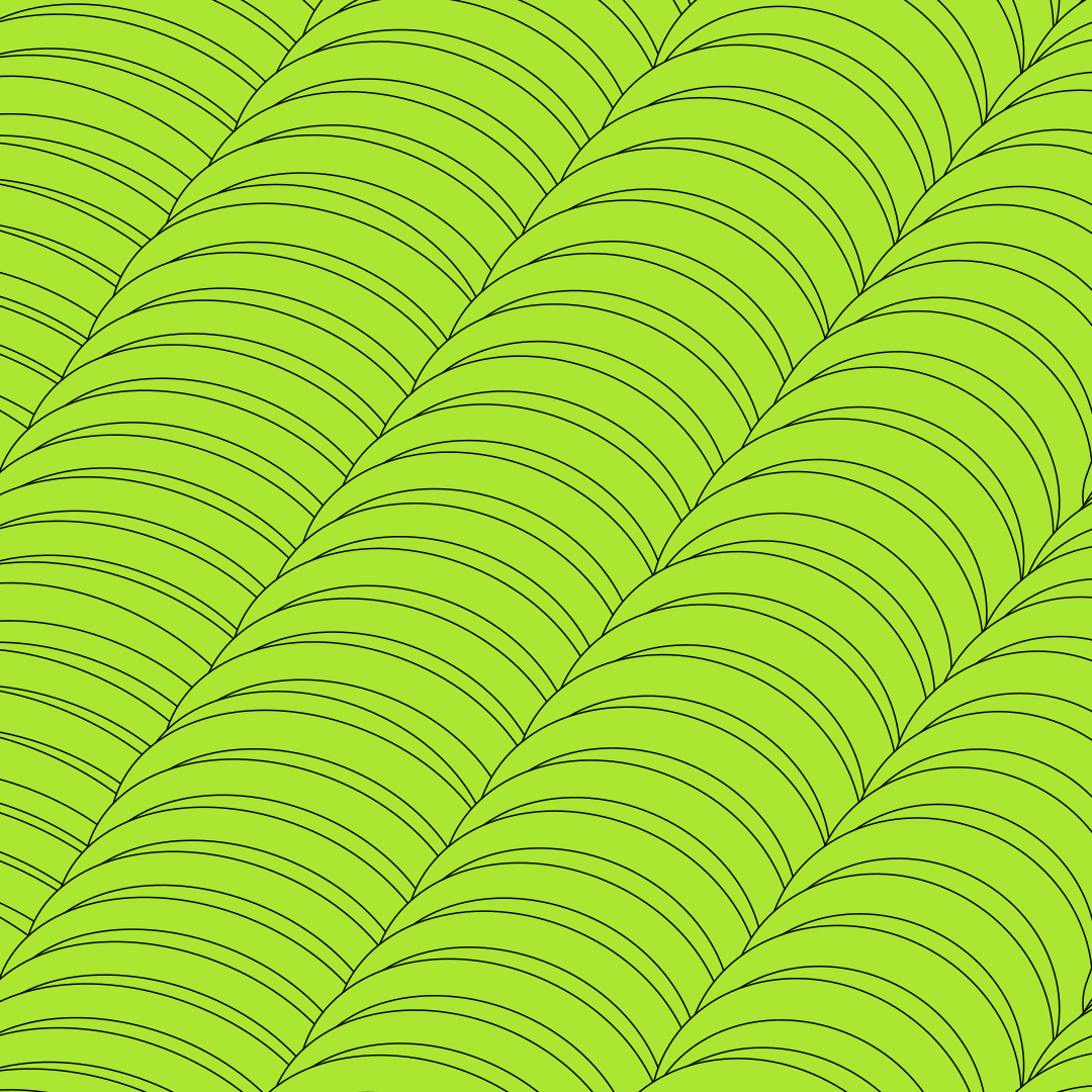 Photo by tashakostyuk