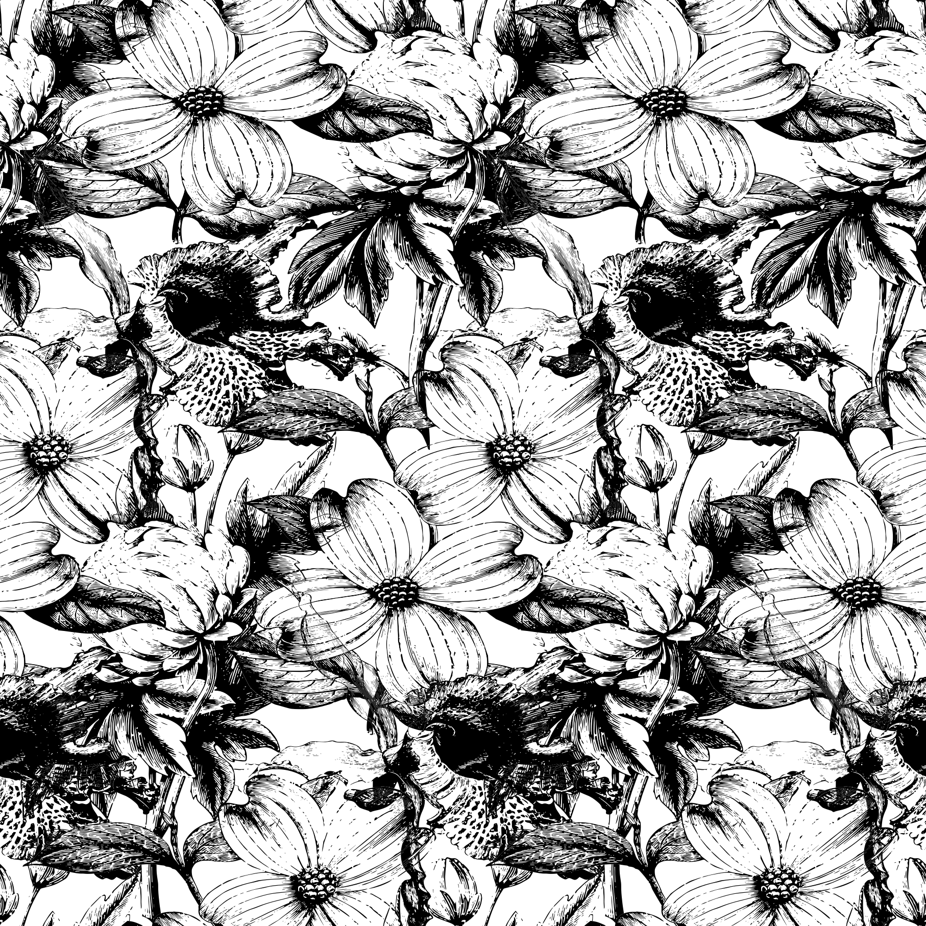 Beautiful black and white floral pattern is shown.