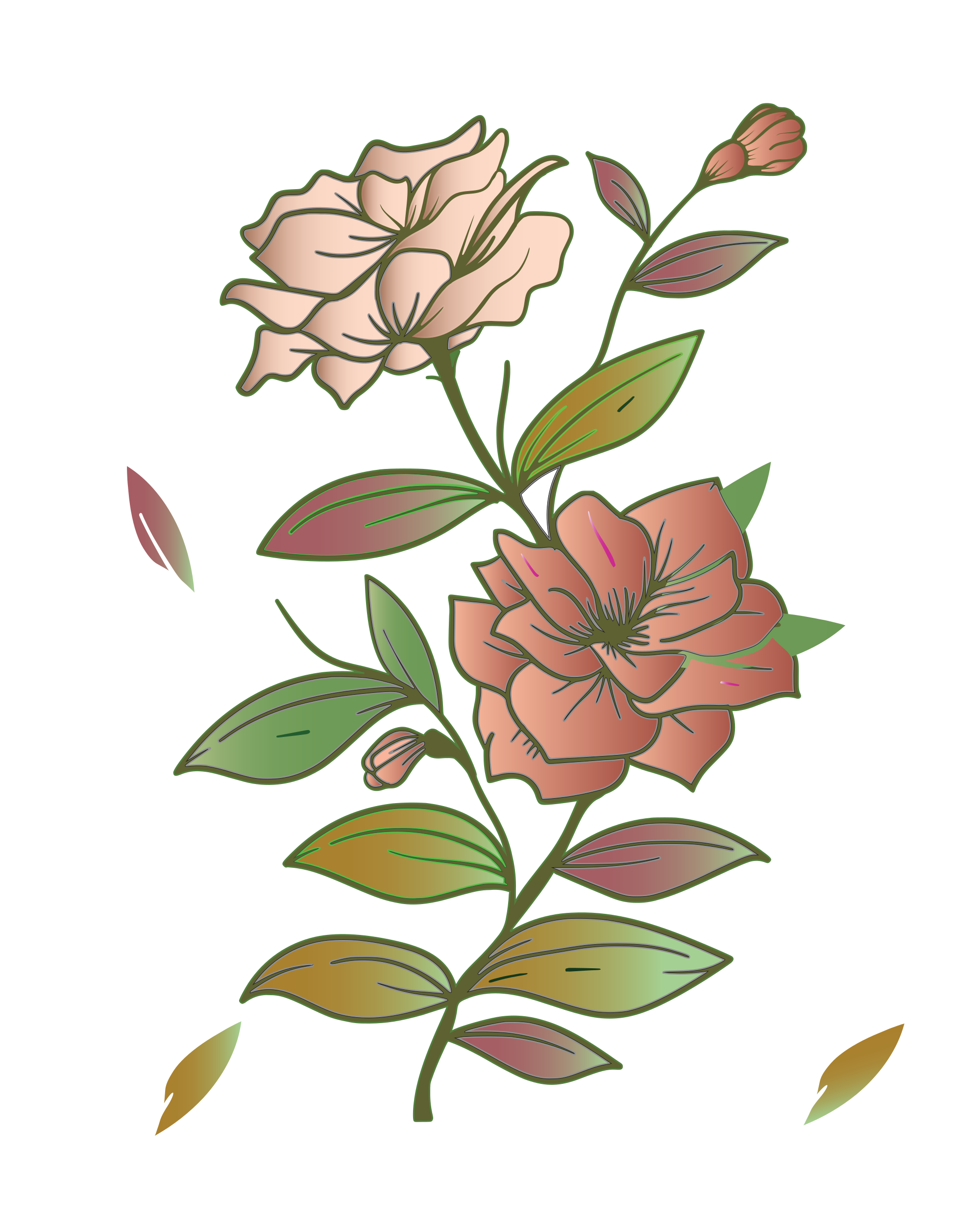 Photo by hadeerrasheed