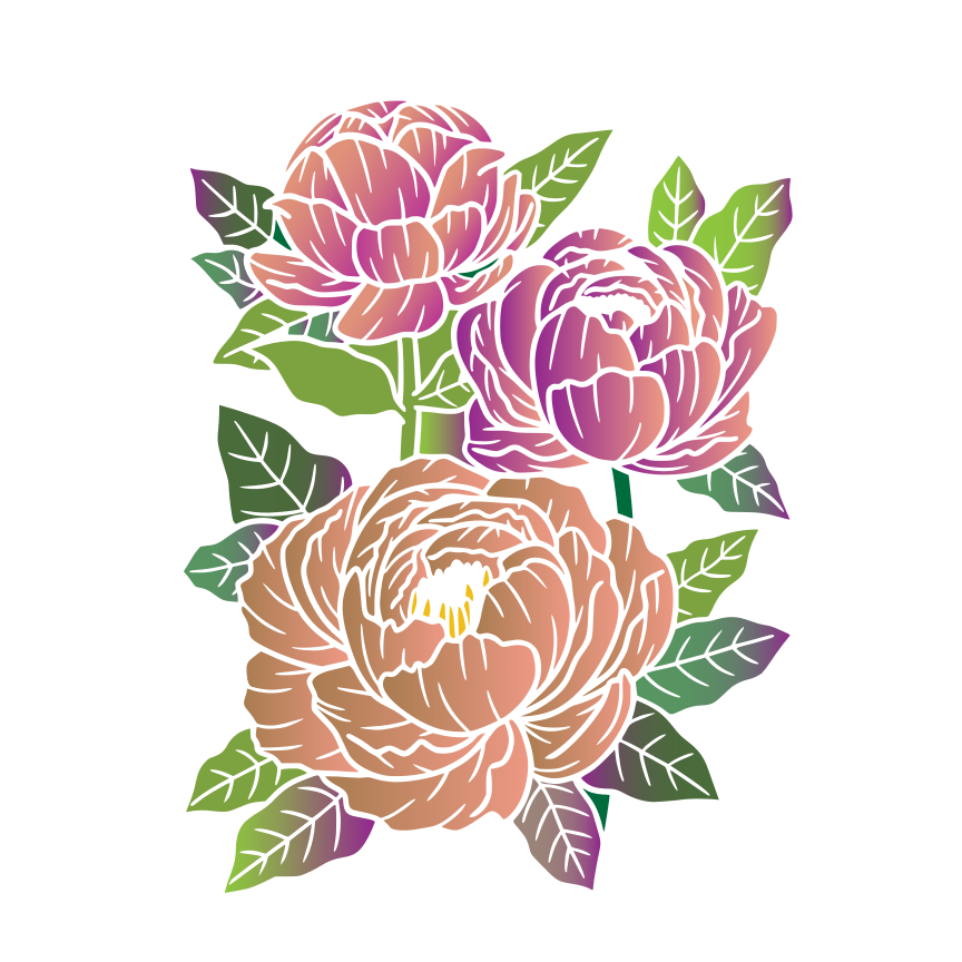 Photo by hadeerrasheed