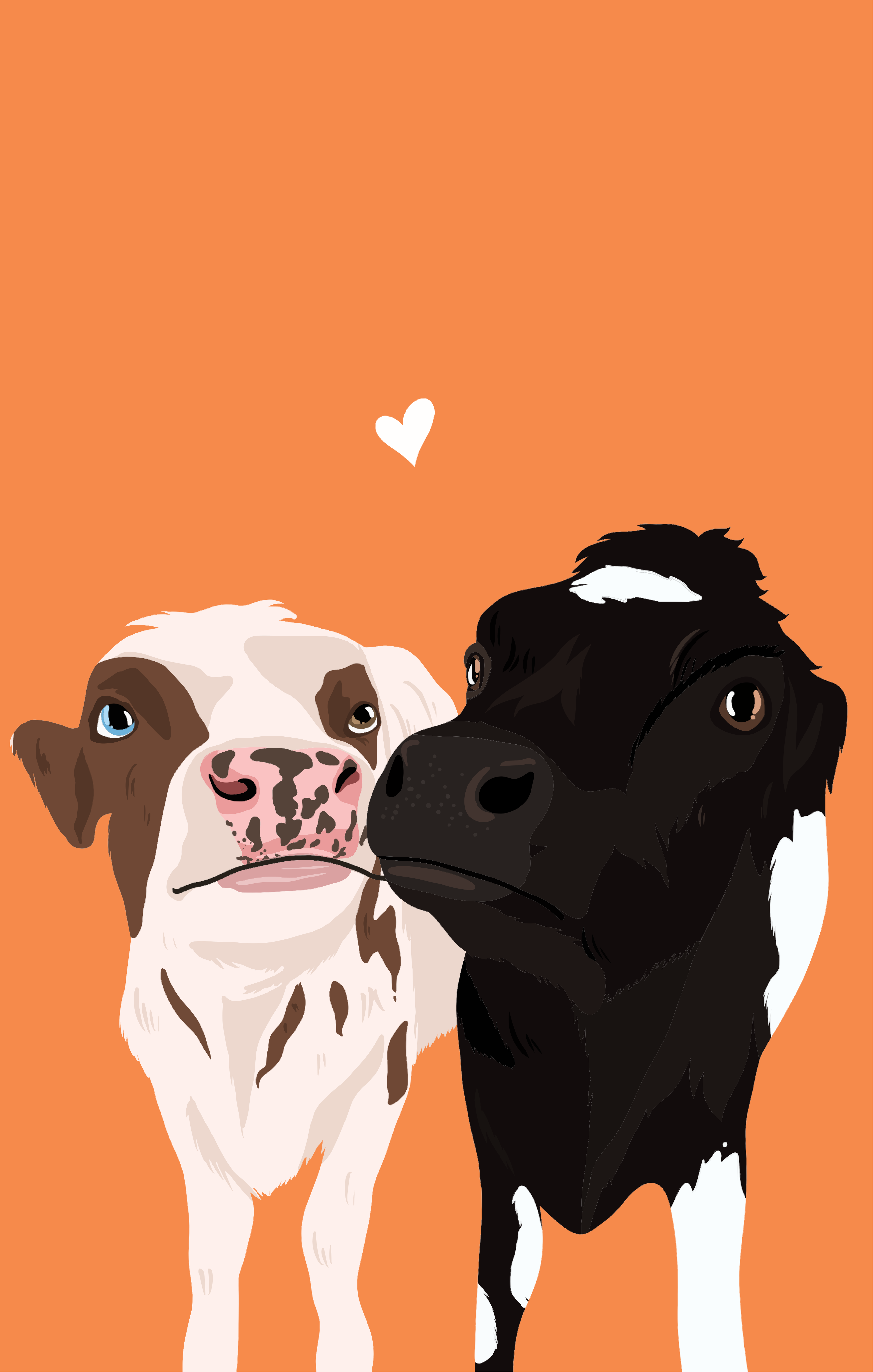 Two cows in love.