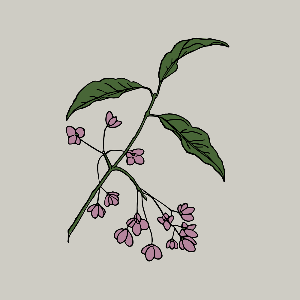 Photo by anniespratt