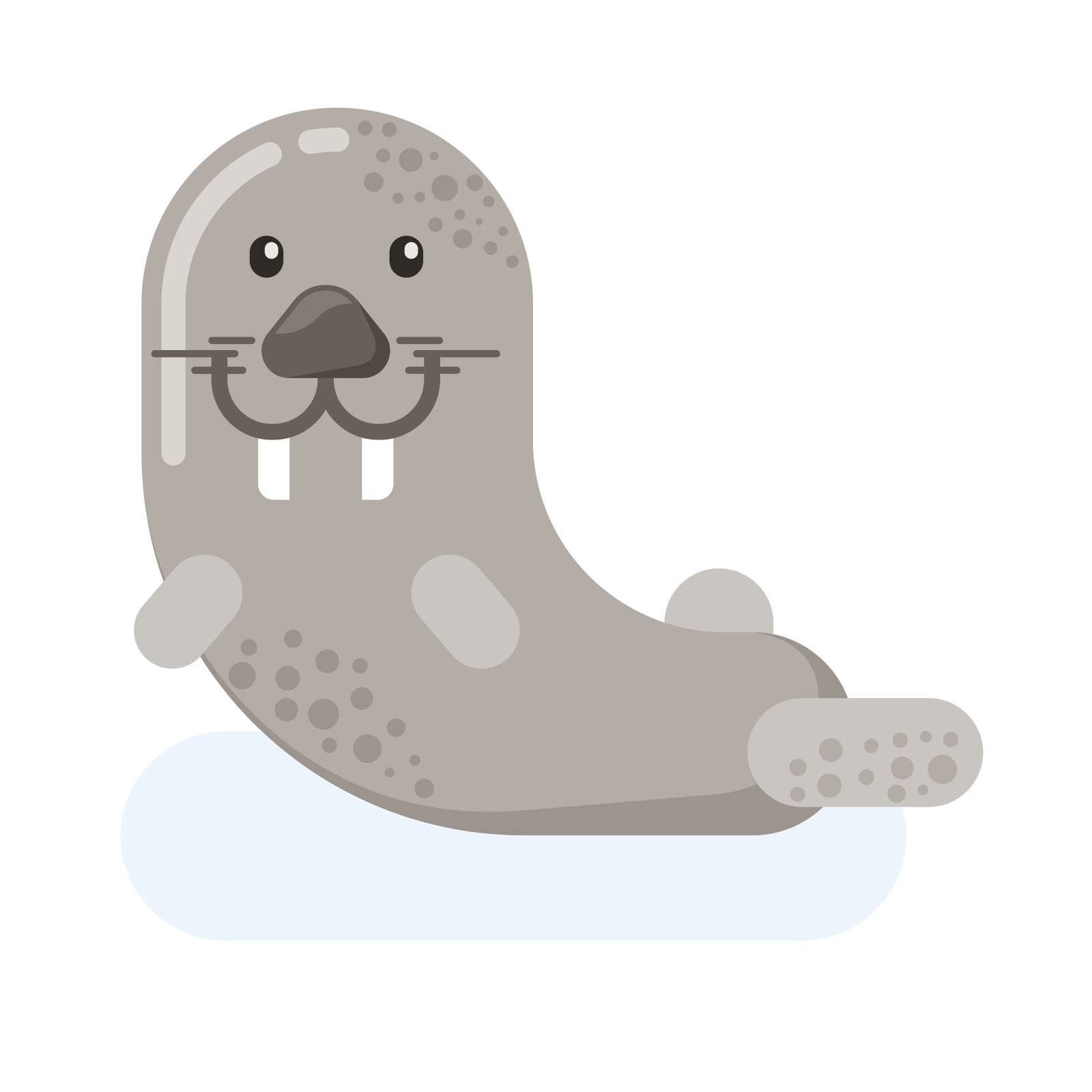 Aqui vai uma legenda: uma foca de desenho animado fofa está sorrindo. vetor  – Imagem grátis sobre Animal na Unsplash, image size:3000x3000