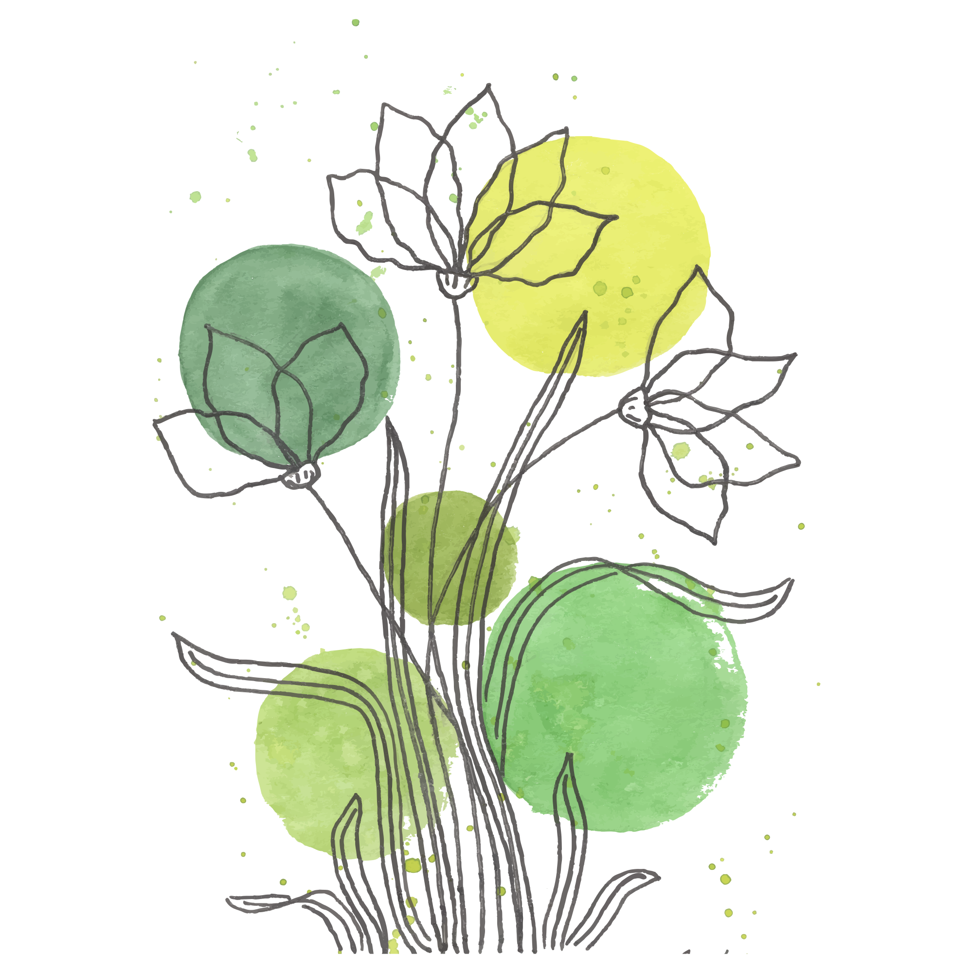 Photo by liska_lissa