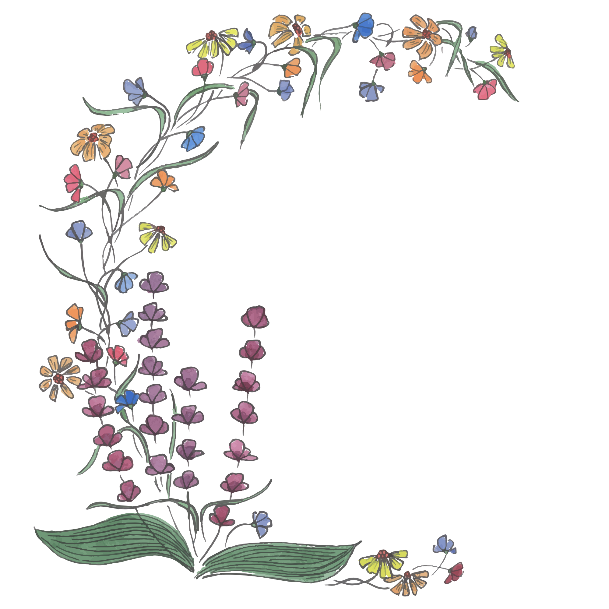 Photo by liska_lissa