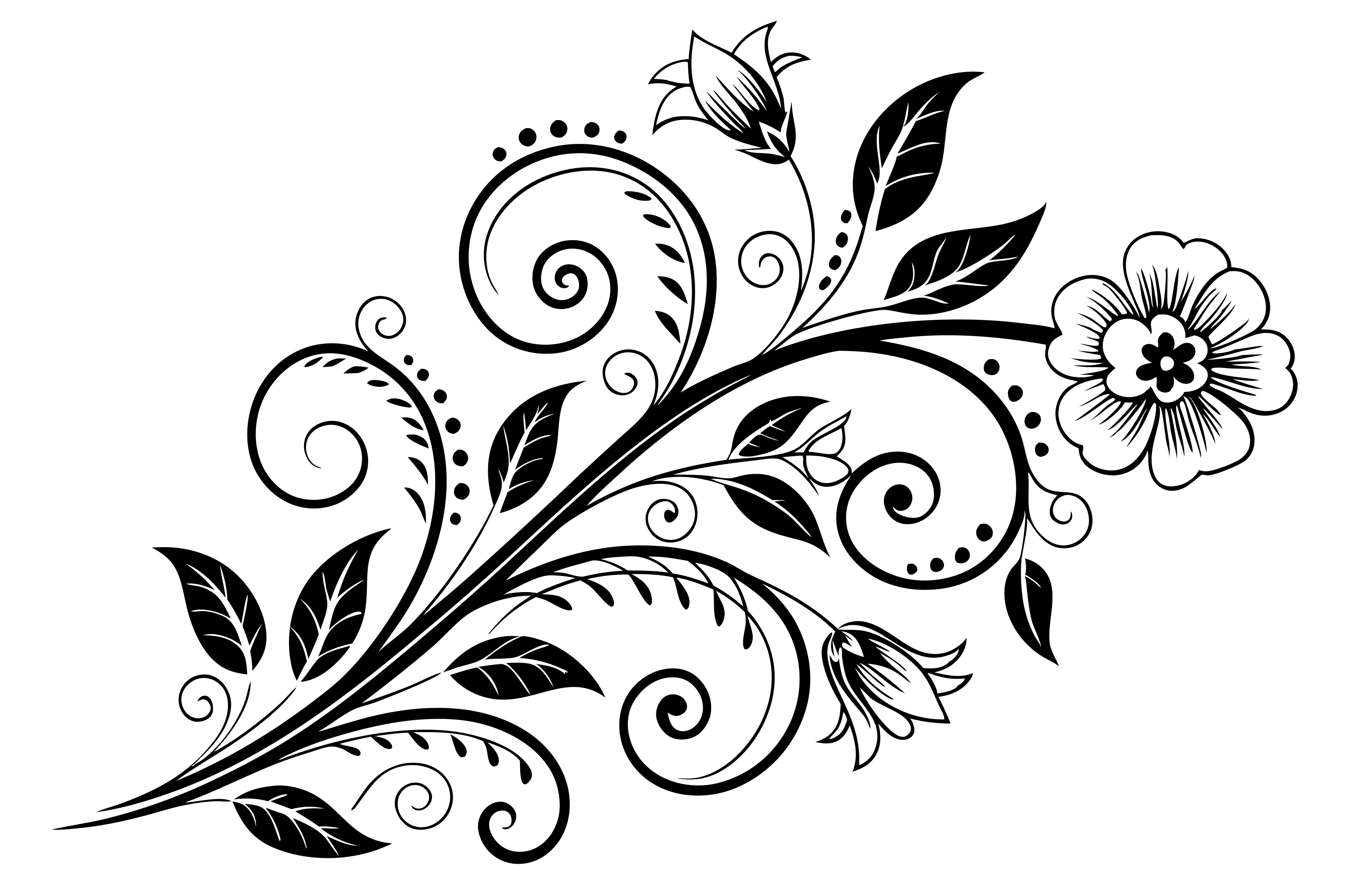 A black and white floral design is shown.
