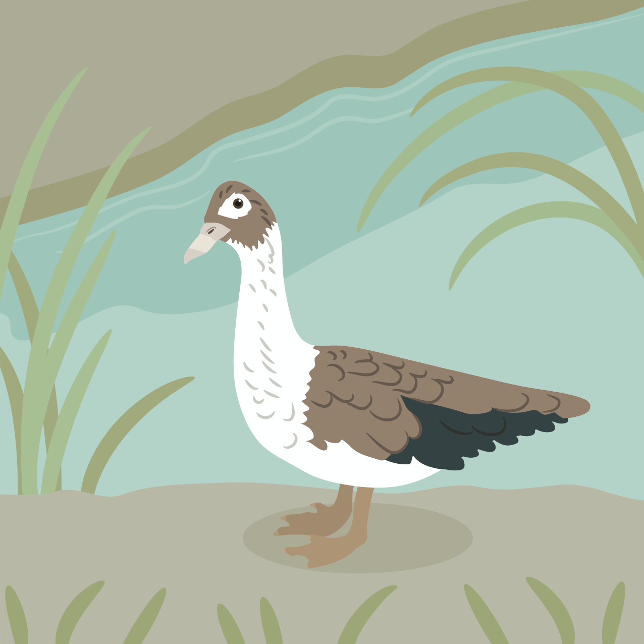 A duck stands near a body of water.