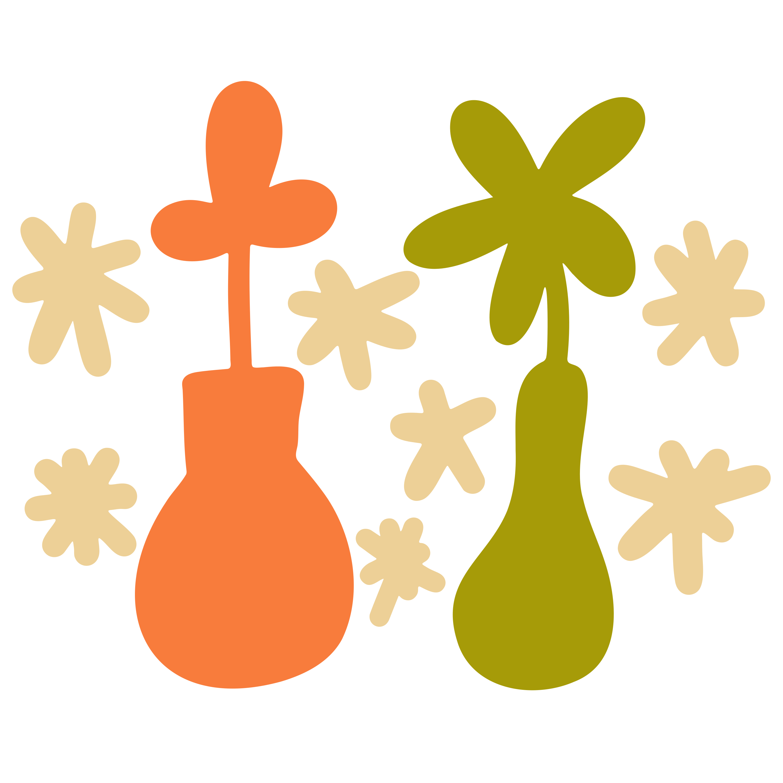 Flores en jarrones con forma de estrella.