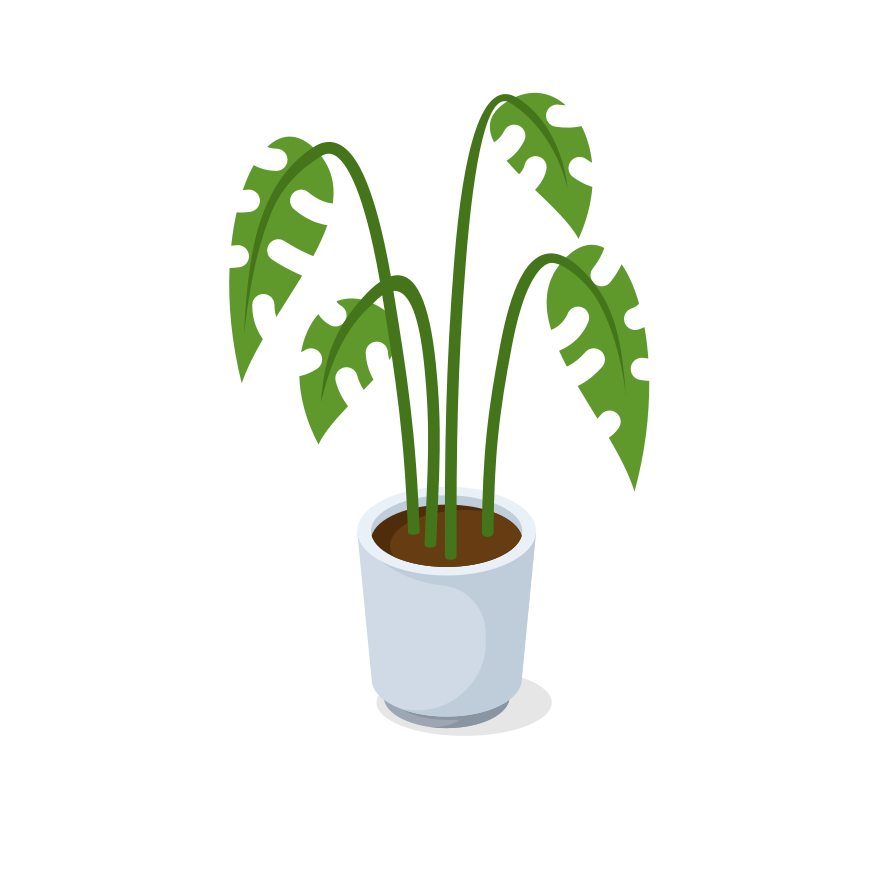 Photo by publicdomainvectors