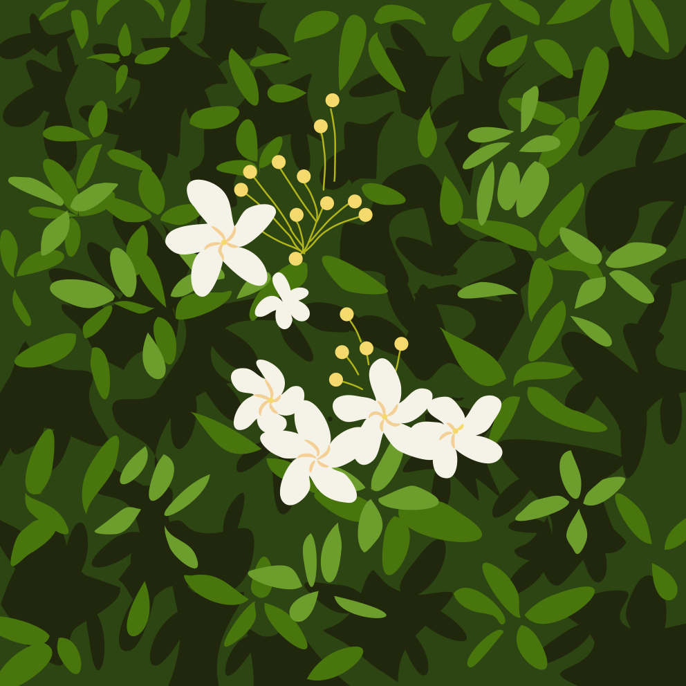 White flowers bloom amid green foliage.
