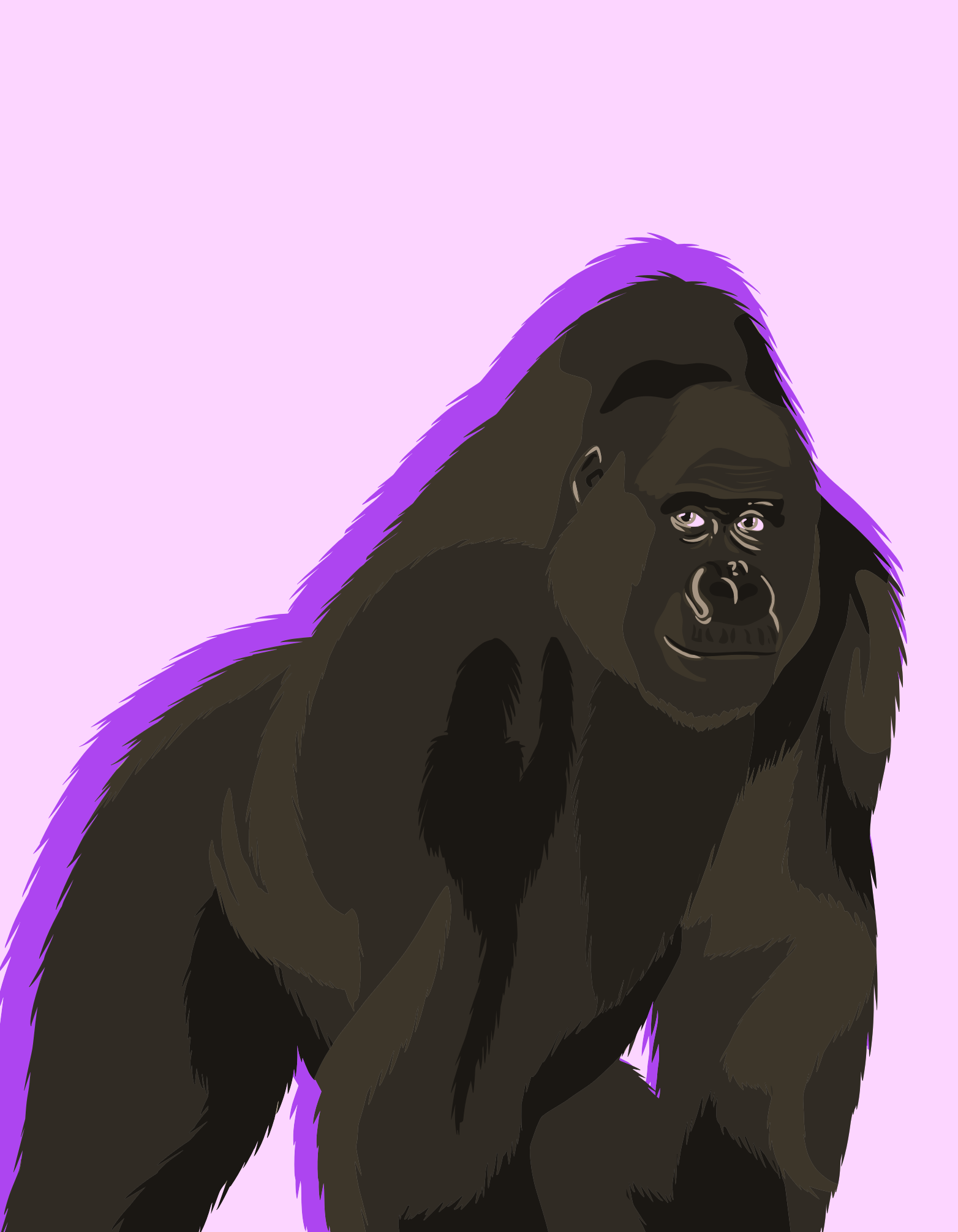 A gorilla stands proudly with a purple outline.