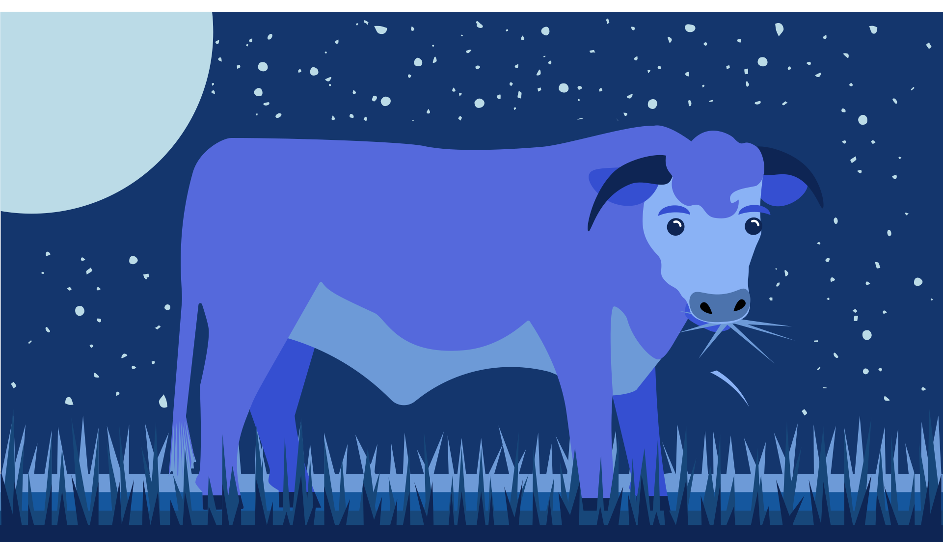 Photo by mgdoodlestudio