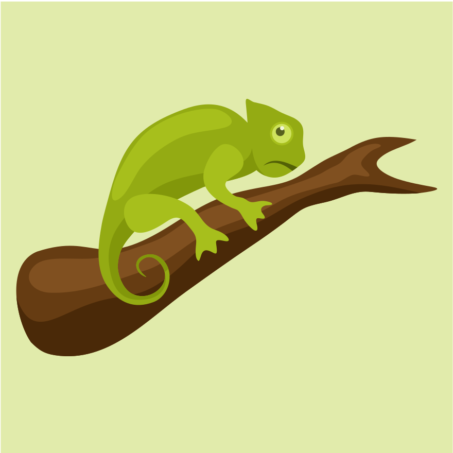 Photo by publicdomainvectors