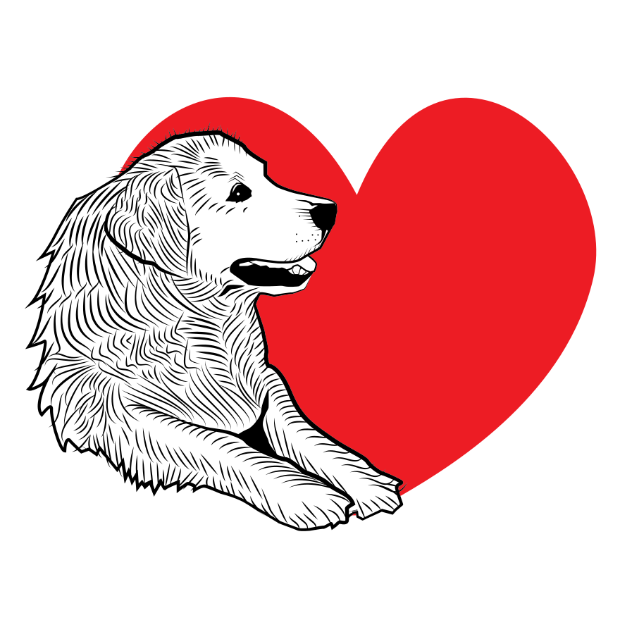 A dog with a heart-shaped background.