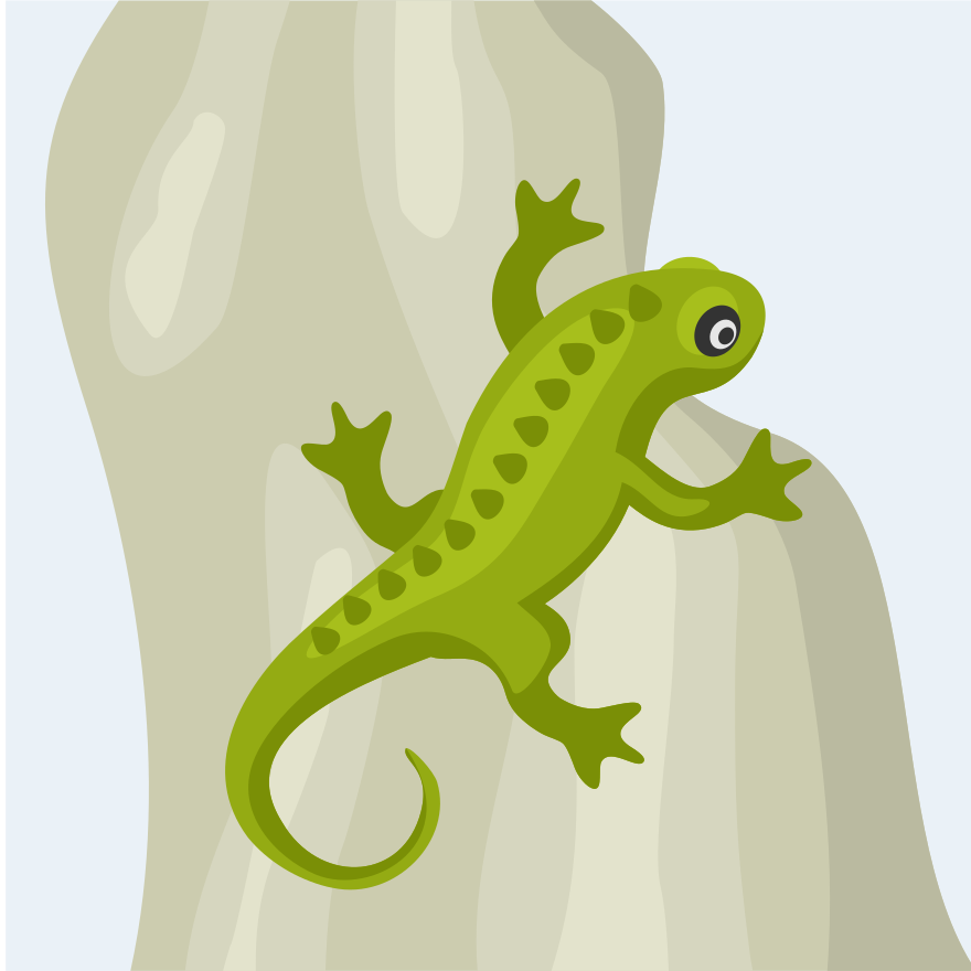 Photo by publicdomainvectors