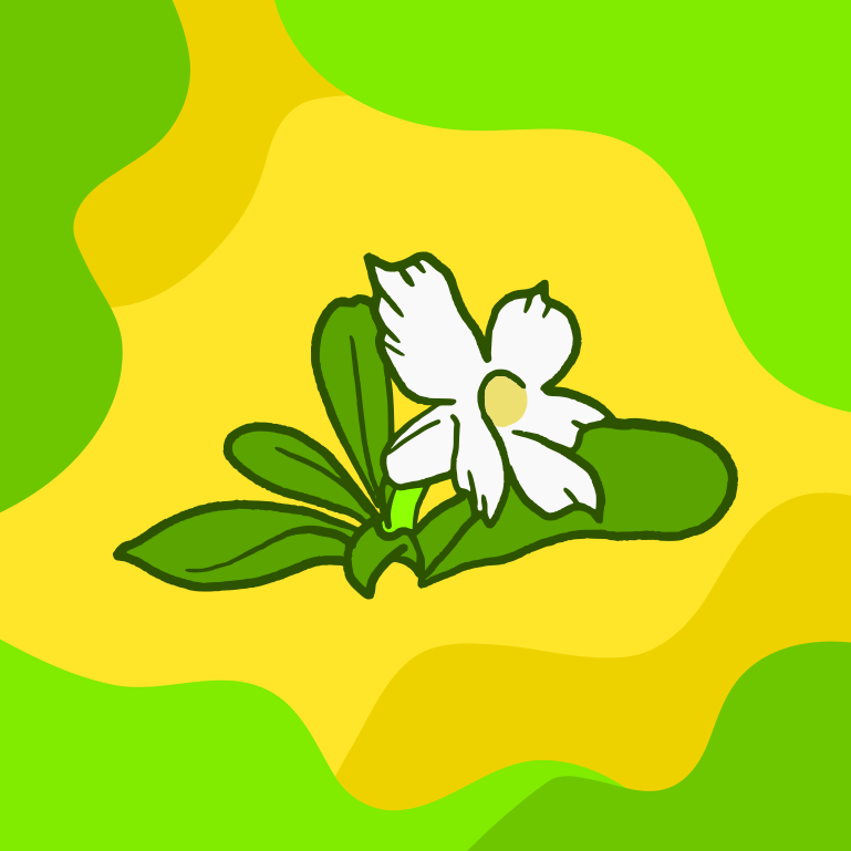 Photo by milaoktasafitri