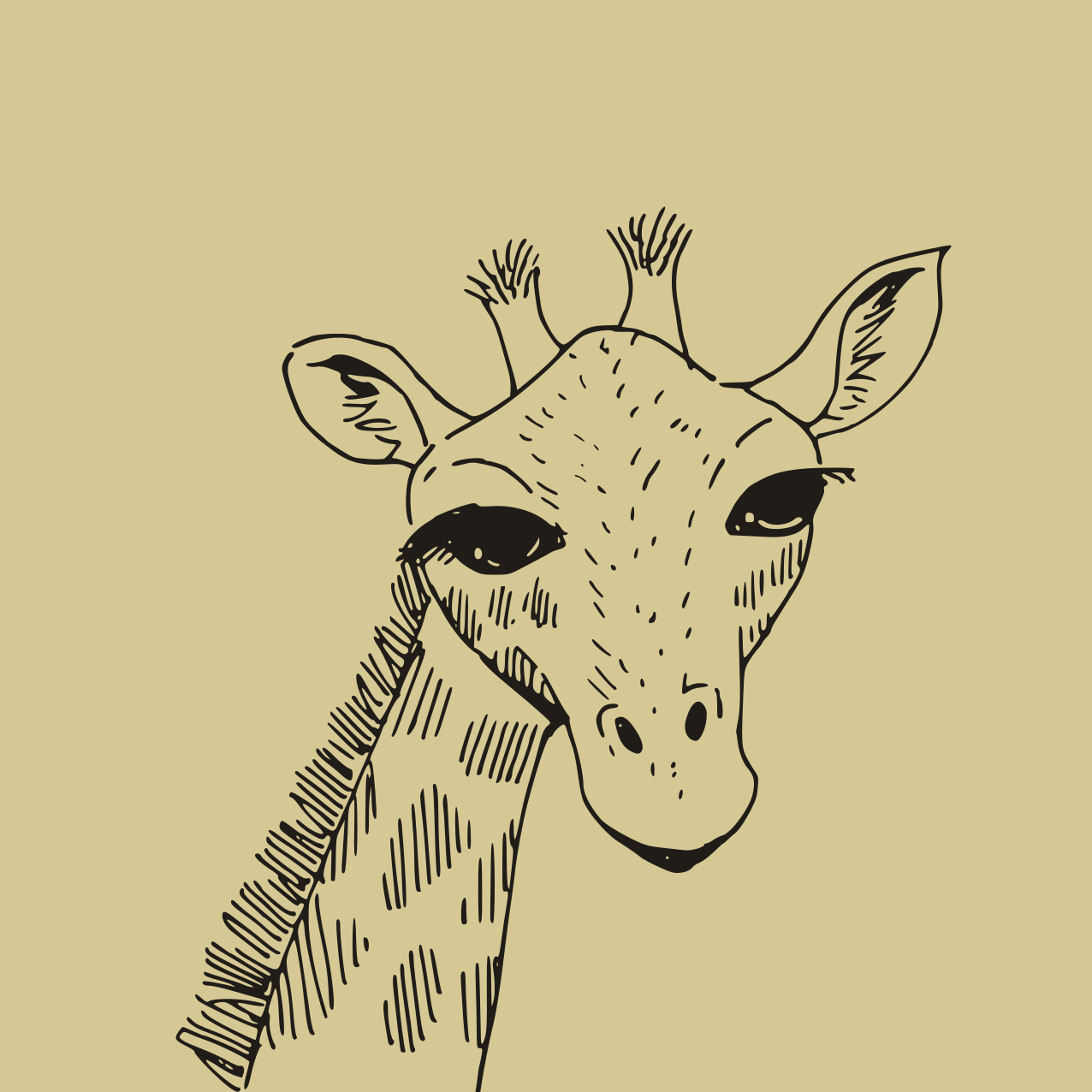 Uma girafa desenhada à mão com um olhar curioso. vetor – Imagem grátis  sobre Desenhado à mão na Unsplash, image size:3000x3000