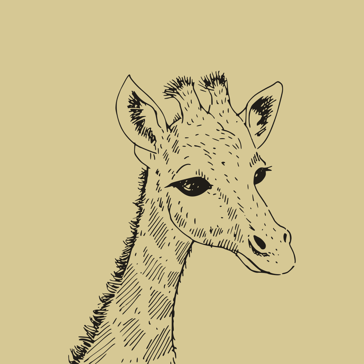 A drawn portrait of a giraffe's head.