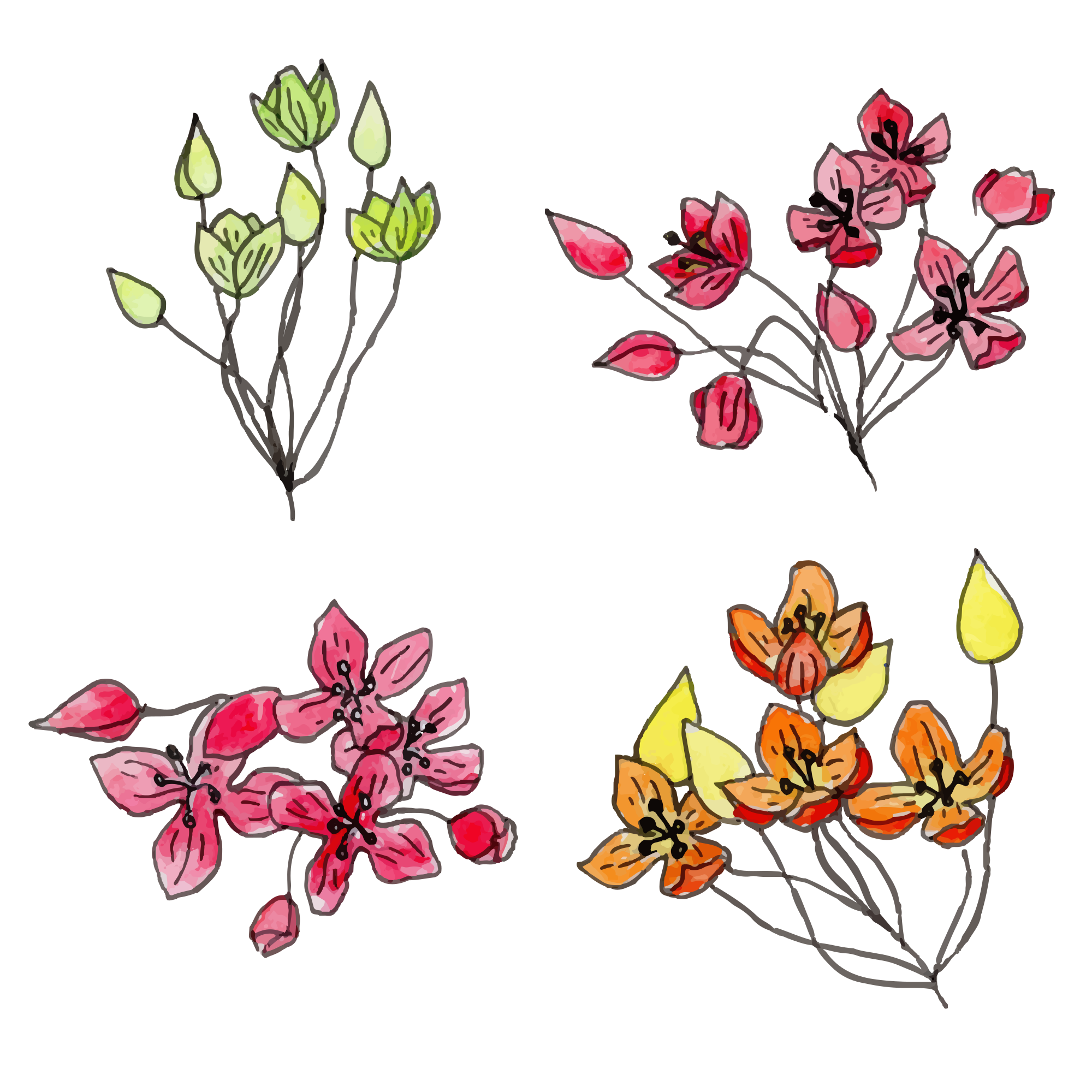 Photo by liska_lissa