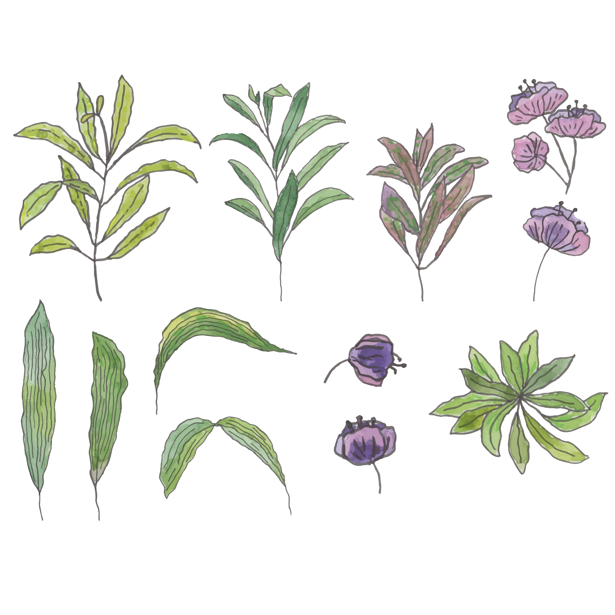 Photo by liska_lissa