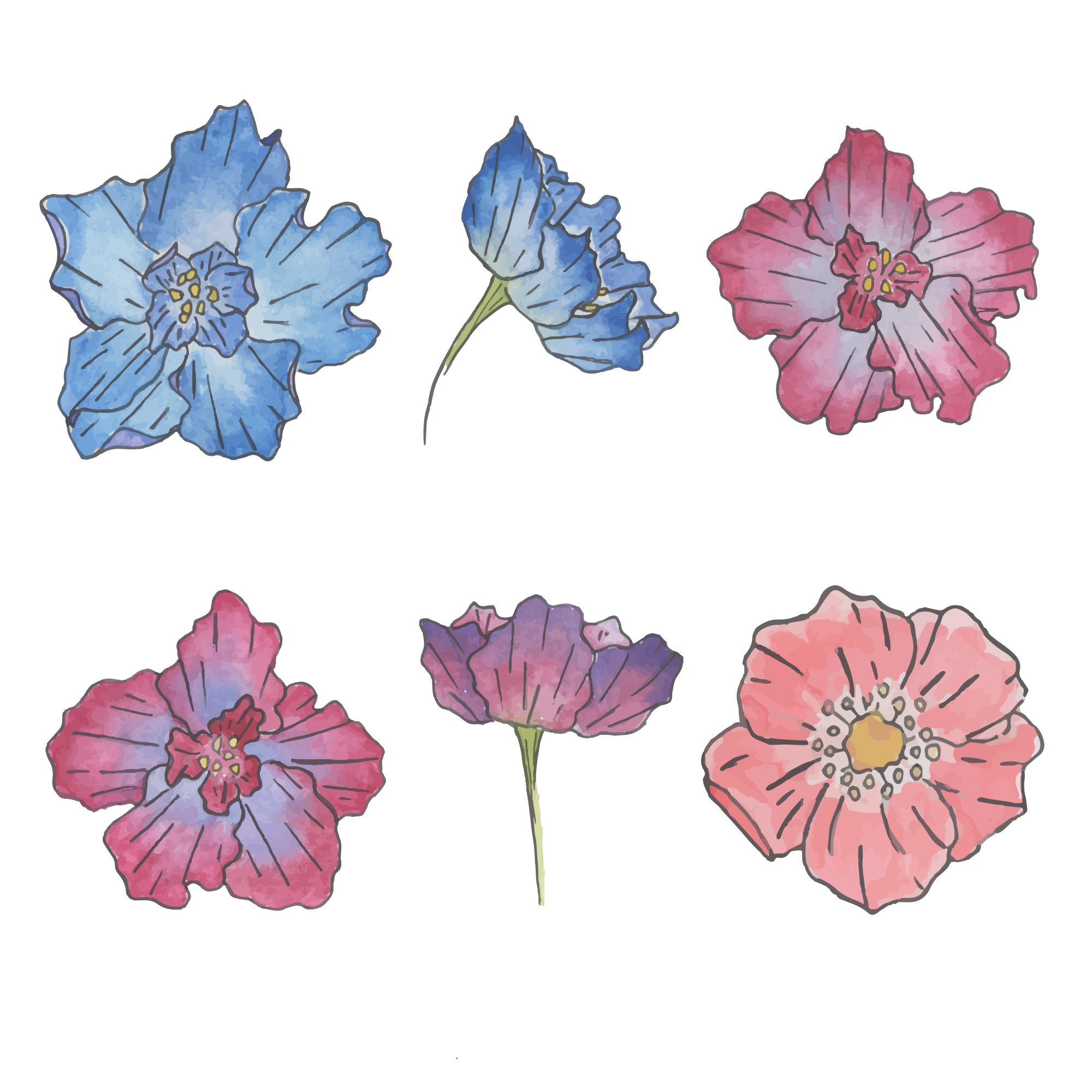 Photo by liska_lissa