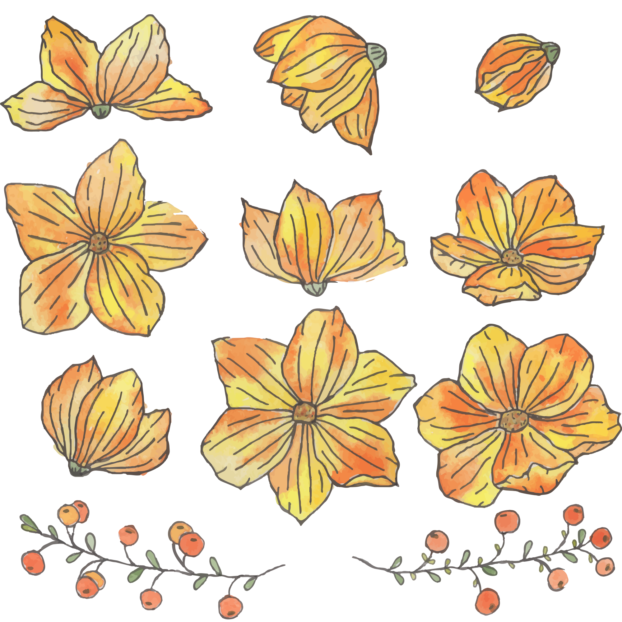 Hand drawn floral arrangement