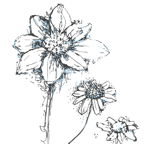 Photo by dilettadavolio