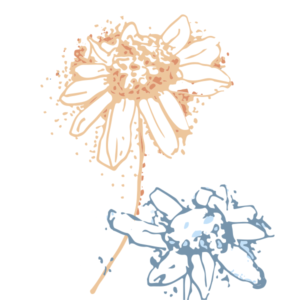 Photo by dilettadavolio