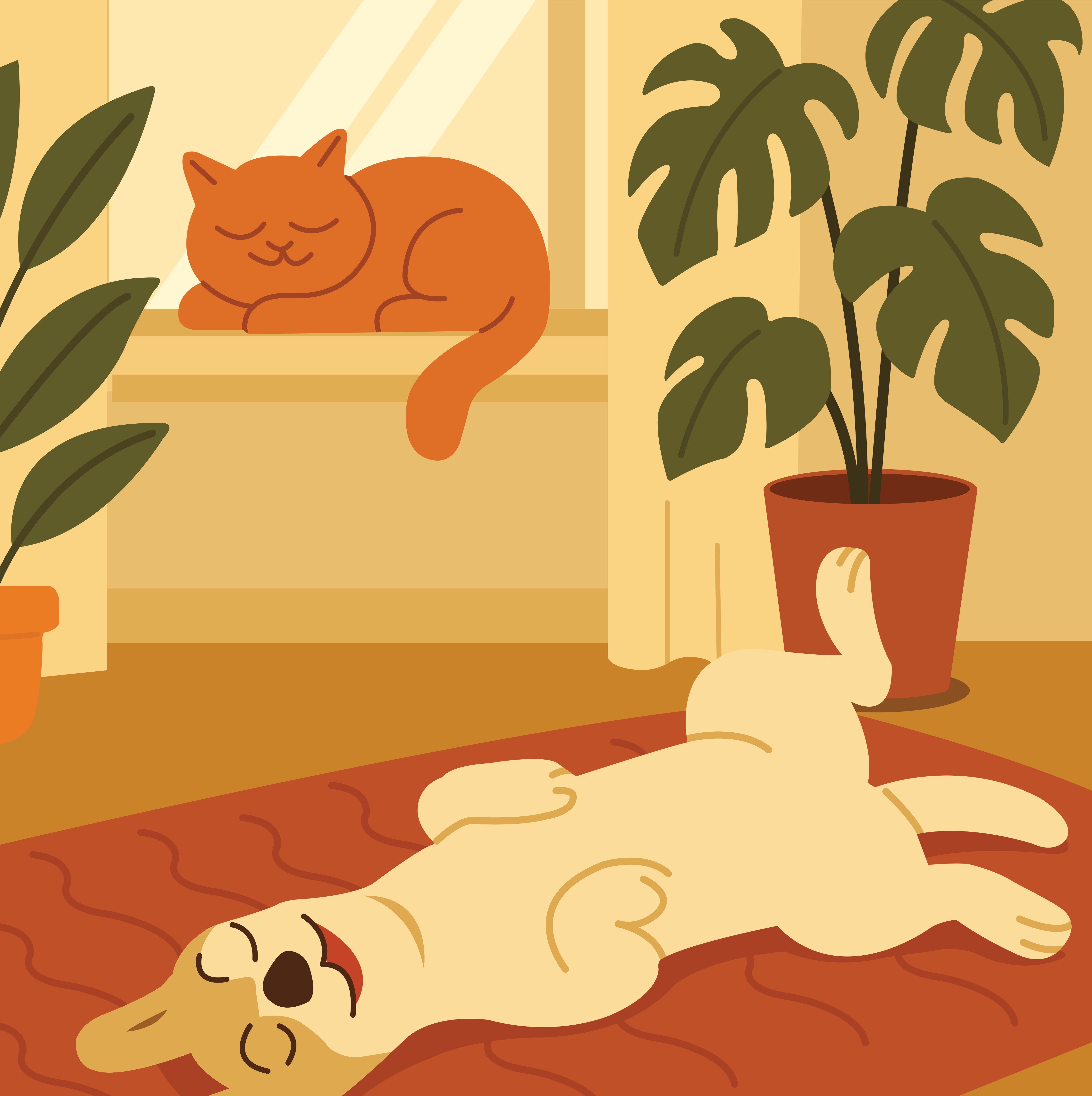 Photo by ahmed_hossam_eldin