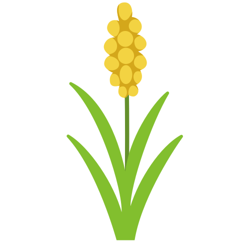 A plant with a yellow flower is shown.