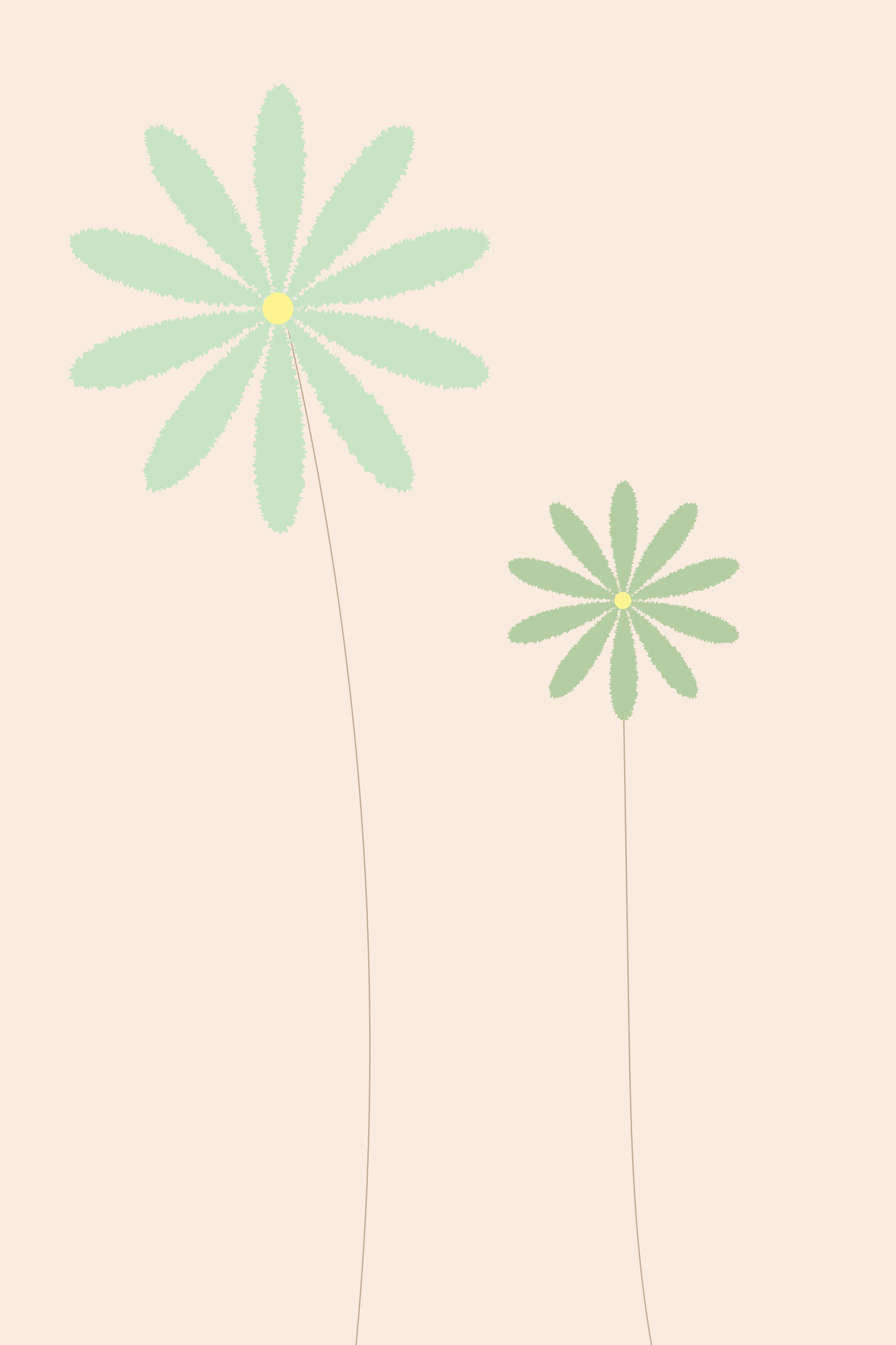 Photo by ummehaniali