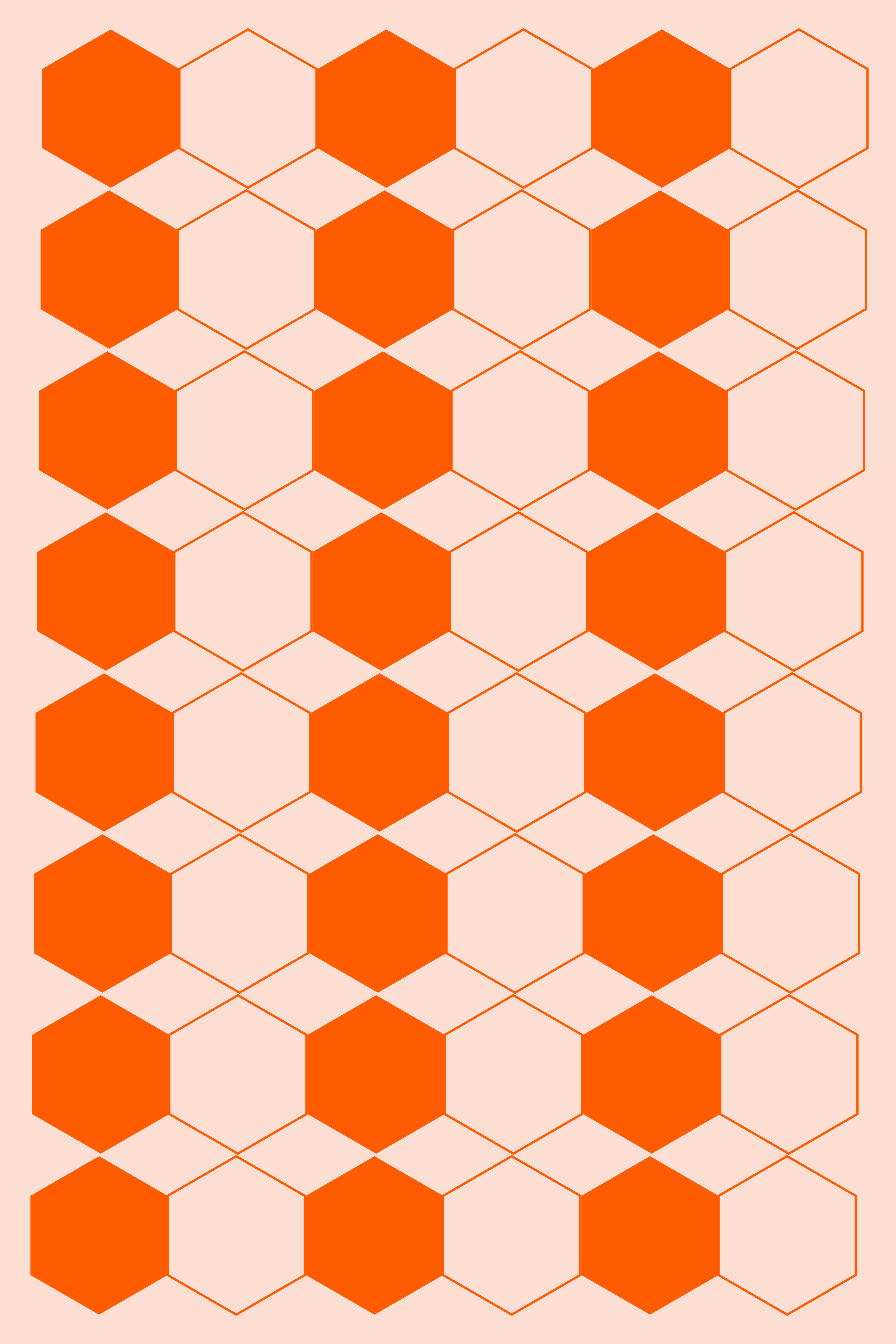 Photo by ummehaniali