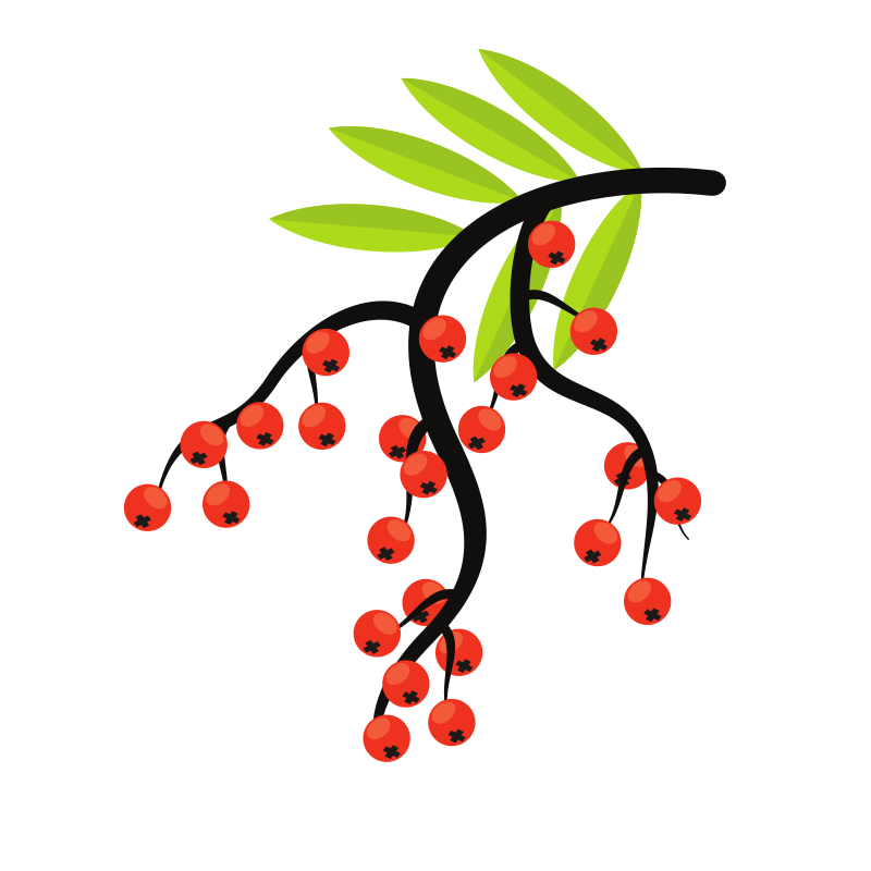 Photo by publicdomainvectors