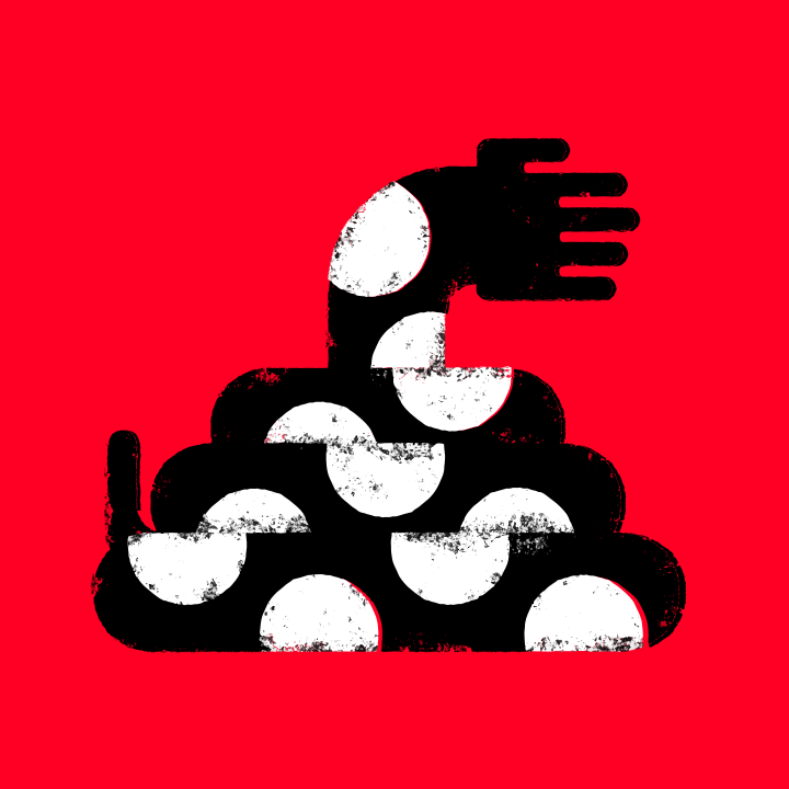 Uma cobra preta e branca sobre fundo vermelho.