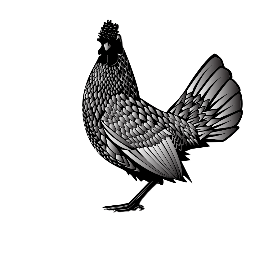 Photo by publicdomainvectors